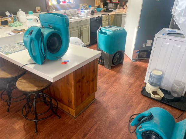 Best Water damage contractors near me  in Girard, OH