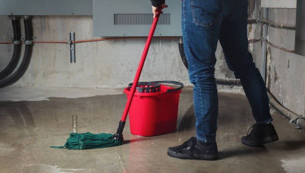 Best Mold removal after water damage  in Girard, OH