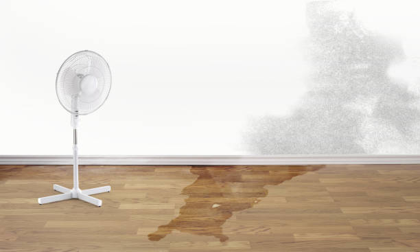 Reliable Girard, OH Water damage restoration Solutions