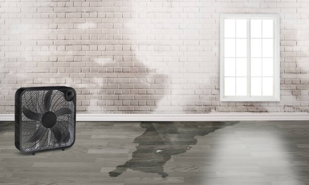 Professional Water damage restoration in Girard, OH