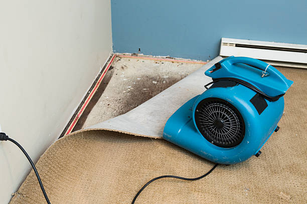 24/7 water damage repair in Girard, OH